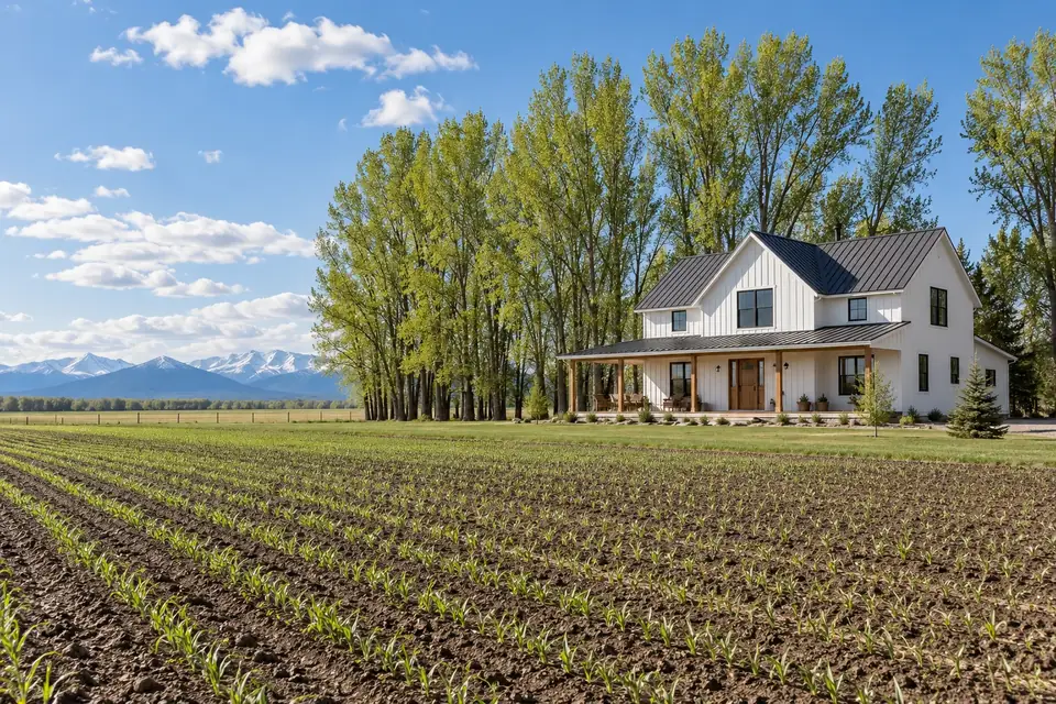 Farmhouse beside a windbreak of trees in flat cultivated fields under a bright spring sky